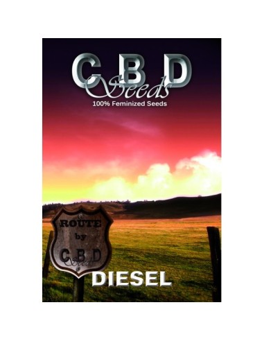 Acheter Diesel de CBD Seeds - Oaseeds