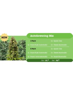 Autoflowering Outdoor Mix 2