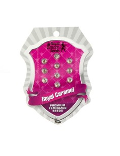 Royal Caramel (Fast Version) 2