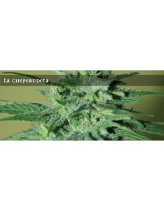 La Cheperudeta
