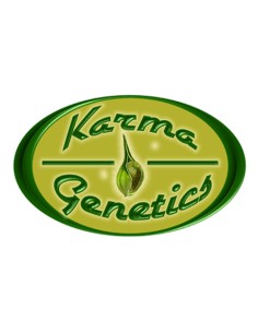 Cookiewreck X Biker Ltd.