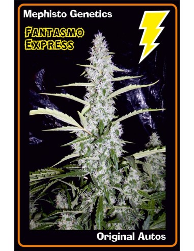 Fantasmo Express