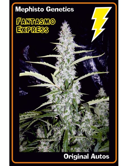 Fantasmo Express