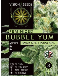 Bubble Yum 2