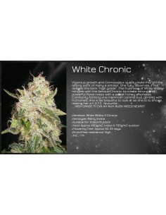 White Chronic