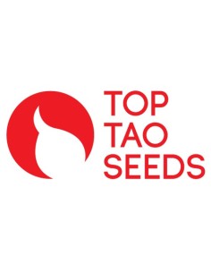 Top Tao Mix 2