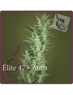 Elite 47 Auto