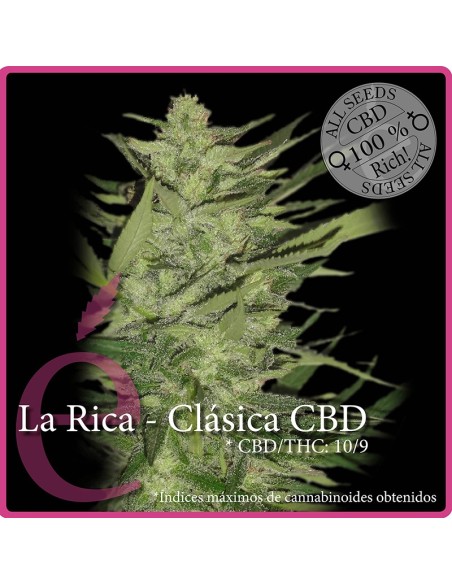 La Rica - Clásica CBD