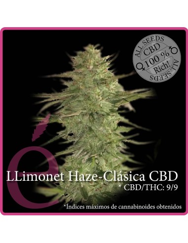 Llimonet Haze - Clásica CBD
