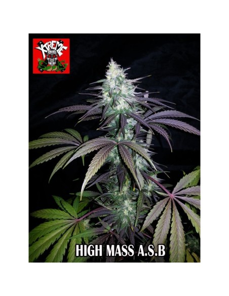 High Mass A.S.B