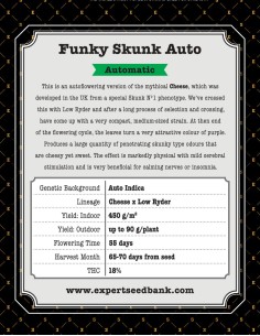 Funky Skunk Auto 2