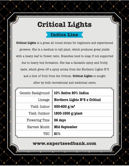 Critical Lights