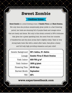 Sweet Zombie 2
