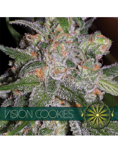 Vision Cookies
