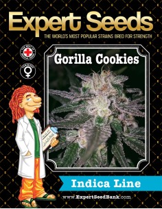 Gorilla Cookies 2