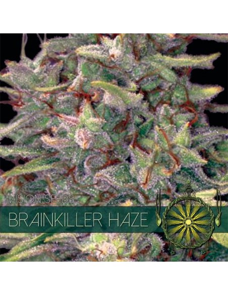 Brainkiller Haze