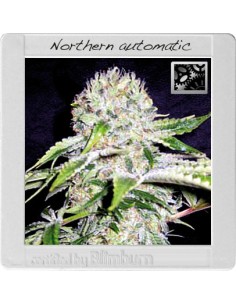 Northern Automatic 2