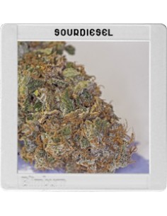 Sour Diesel 2