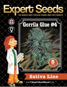 Gorrila Glue 4 2