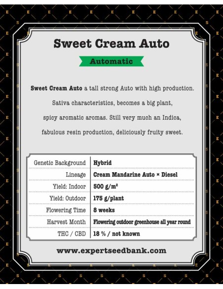 Sweet Cream Auto