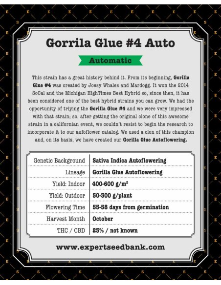 Gorrila Glue 4 Auto