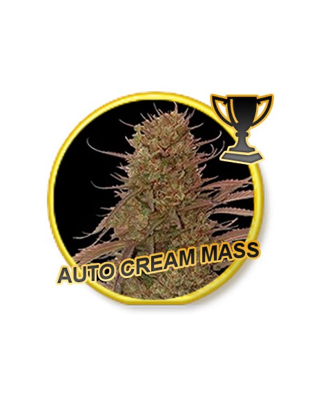 Auto Cream Mass