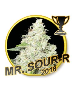Mr. Sour-R