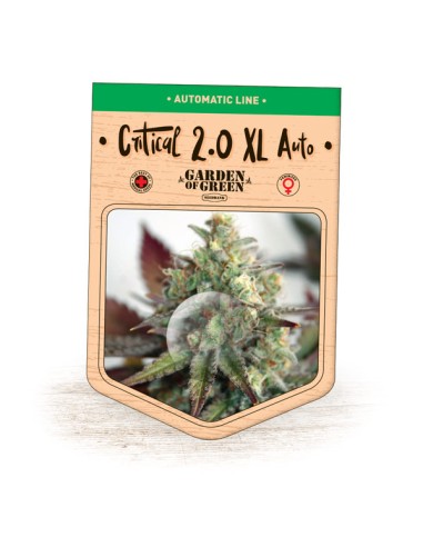 Critical 2.0 XL Auto
