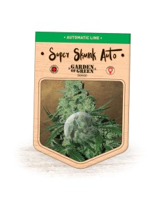 Super Skunk Auto 2