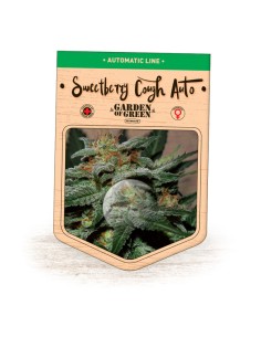 Sweetberry Cough Auto 2