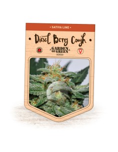 Diesel Berry Cough 2