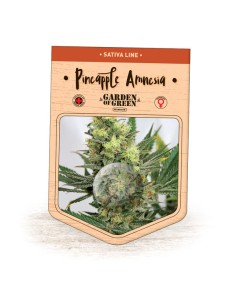 Pineapple Amnesia 2