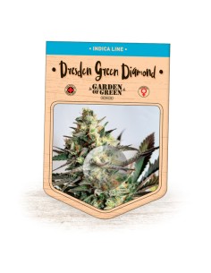 Dresden Green Diamond 2