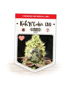 Kush 'N'Cookies CBD 2