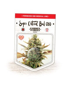Super Critical Bud CBD 2