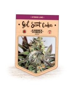Girl Scout Cookies 2