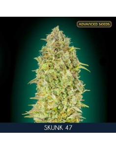 Skunk 47