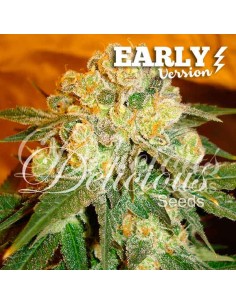 Marmalate Early Version 2