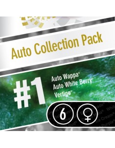 Auto Collection pack 1