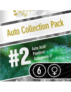 Auto Collection pack 2