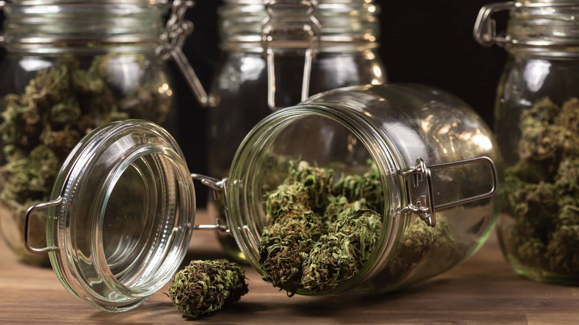 How to rehydrate weed