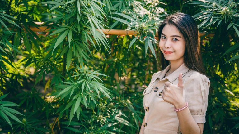 Marijuana seeds for beginners