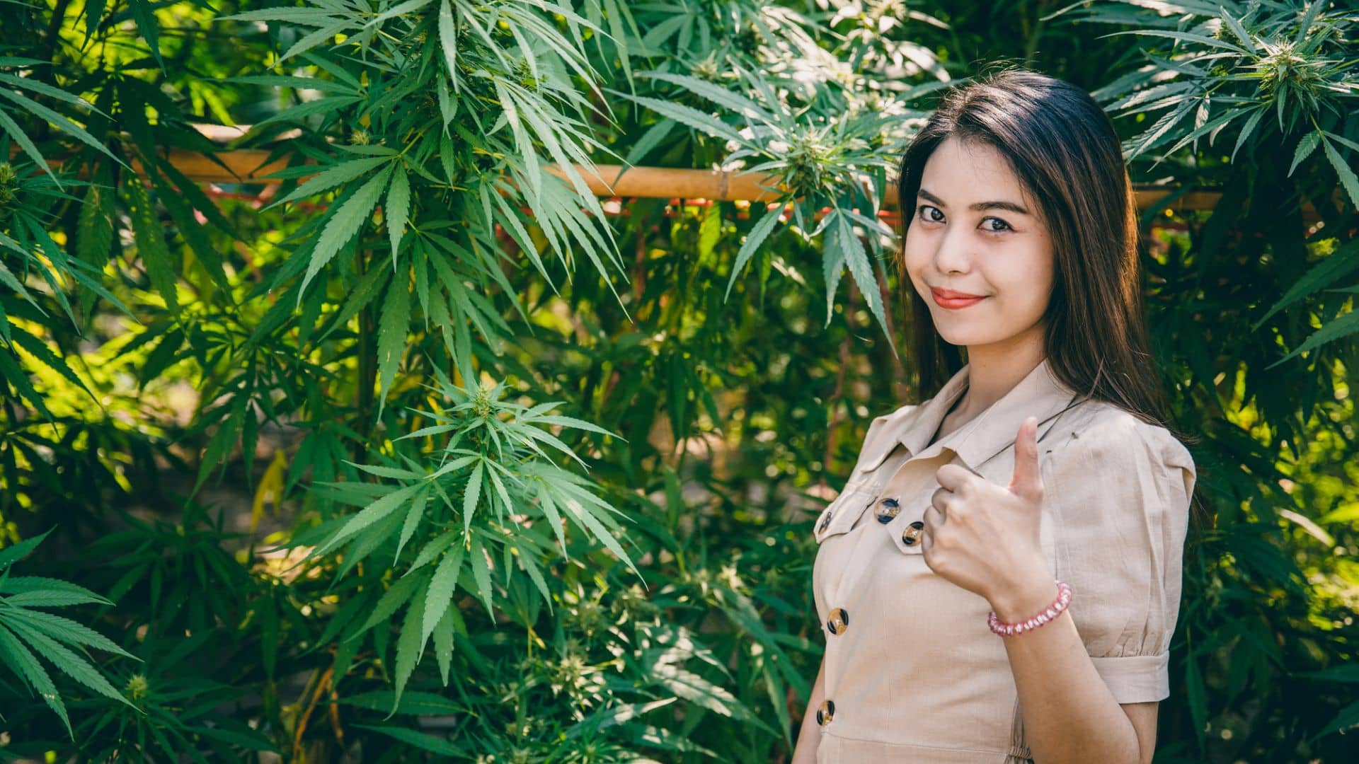 Marijuana seeds for beginners