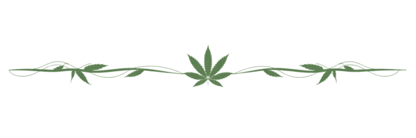 Cannabis Horizontal Rule