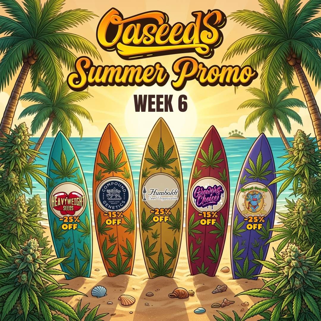 Oaseeds Summer Promo 26