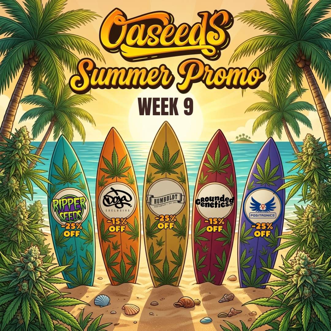 Oaseeds Summer Promo 26