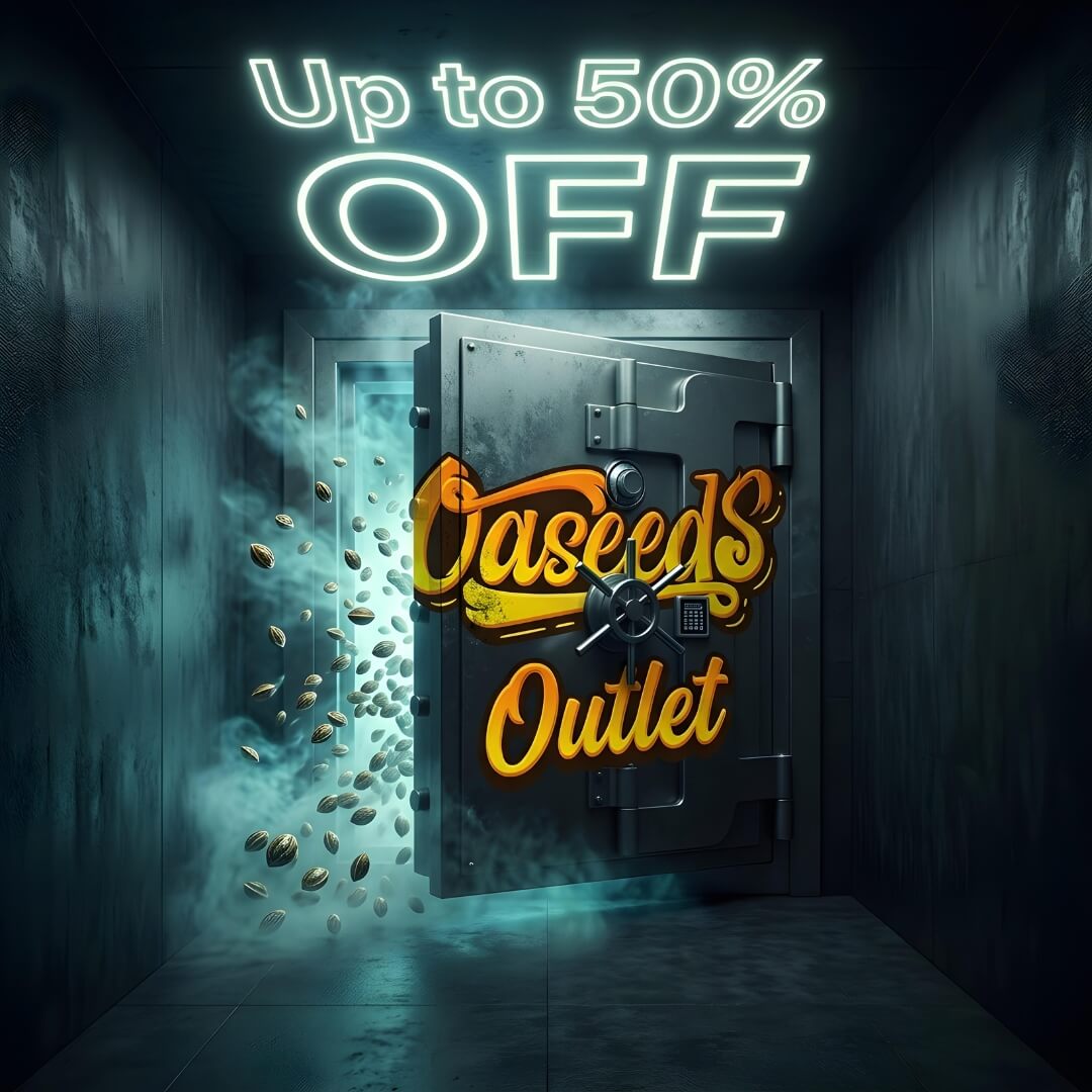 Outlet - 50%