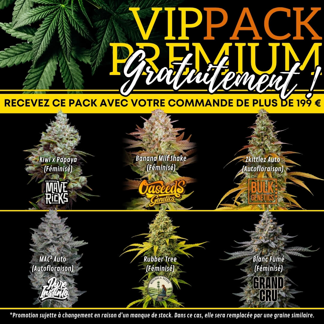 VIP Pack Premium