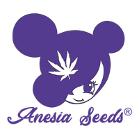 Anesia Seeds logo
