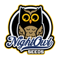 night owl seeds logo